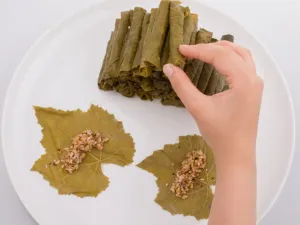 ورق العنب يزيد من نشاط الكبد ويقاوم الالتهابات 