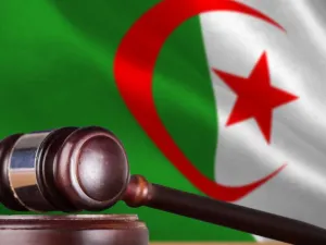 فتح تحقيقات ضد رجال أعمال ومسؤولين كبار في نظام الرئيس السابق، عبد العزيز بوتفليقة
