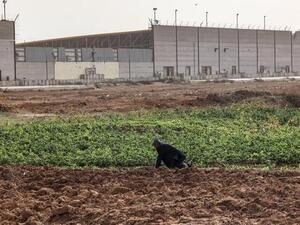Israel Reopens Gaza Crossing After Nearly Two Weeks (AFP)