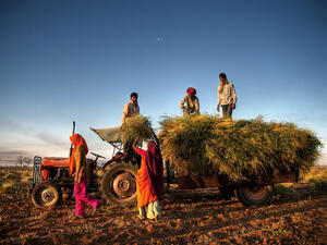 Muslim Innovators Help India’s Troubled Farmers