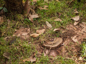 Colombia to Train Ukrainian Military in Demining