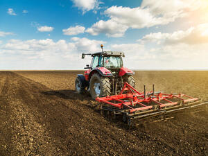 Pulses Become Bangladesh’s Food Culture