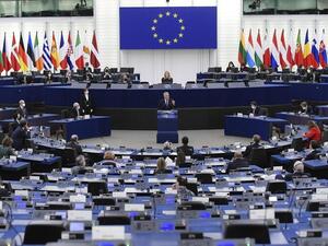 Bulgarian EU Lawmaker Faces Backlash After Giving 'Nazi Salute'