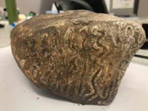 Woolly Mammoth Tooth Discovered at US Construction Site