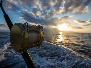 Where to Go for Middle East Fishing Adventures