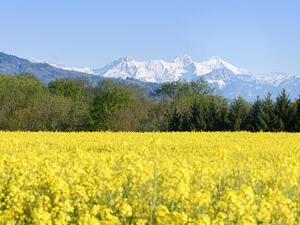 Five Springtime Nature Getaways