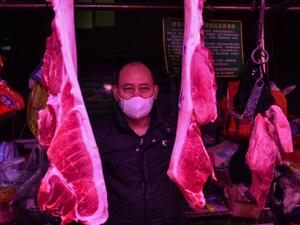 China: Trade, Consumption of Wild Animals No More Allowed