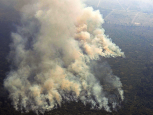Satellites have recorded more than 41,000 fires in the Amazon region so far this year. 