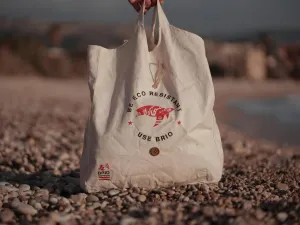 Startup Brio Bags