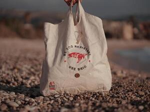Startup Brio Bags