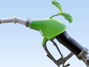 US Oil Refiners Aims at Preceding Canadians in Making Renewable Diesel