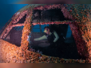Prior to the opening, the park was inspected by a group of diving professionals, who ensured all safety requirements are fully met to guarantee a safe experience for the public.