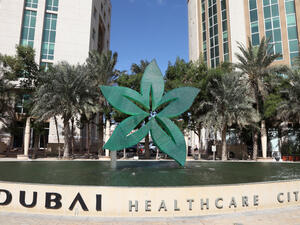 UAE: Health Tourism Visitors Spend Over $276 Million in Dubai