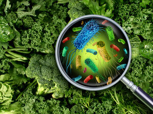 Startup of the Week: Uvera - Revolutionizing Food Safety, Putting an End to Food Waste