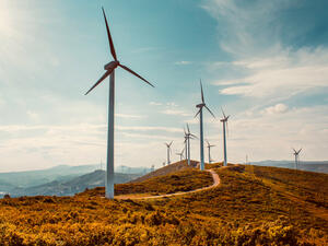 Wind Power Market to Surpass $1.5 Trillion by 2031