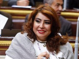 Ghada Agamy introduced a bill restricting behavior that she says is contrary to Egyptian culture