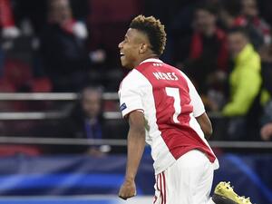 دافيد نيريس