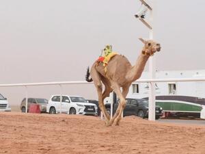The first races at Sharm el-Sheikh coincided with preparations for the African Cup of Nations June 21-July 19, further evidence of using sporting events as strong magnets for tourists. (Photo: The Arab Weekly)