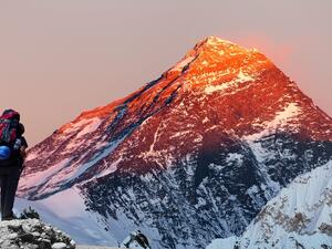 (Shutterstock/ File Photo)