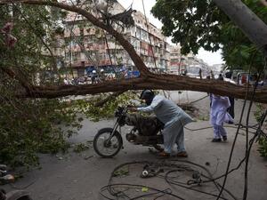 A Pakistani holds his motorbike as he crosses the street under a falling tree following overnight heavy wind storm in Karachi on April 15, 2019.  RIZWAN TABASSUM / AFP