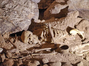 (Shutterstock/ File Photo)