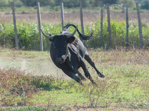 (Shutterstock/ File Photo)