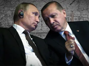 banner image