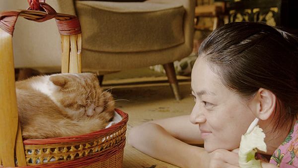 Rent-a-Cat at Cinema Akil