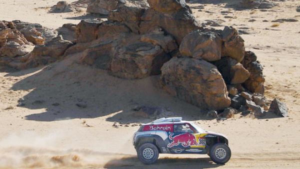 جانب من الفعاليات