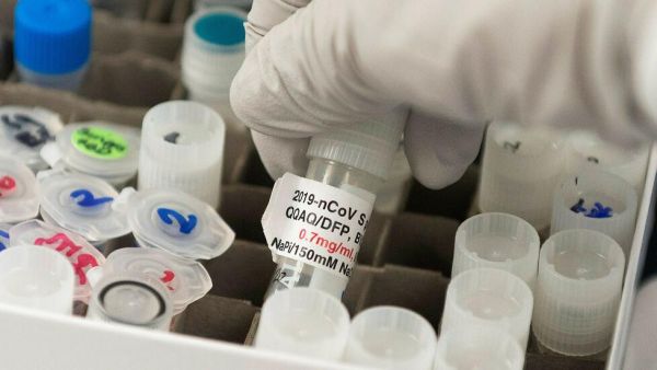 كم من المتوقع أن تبلغ مبيعات فايزر وموديرنا من لقاح كورونا؟