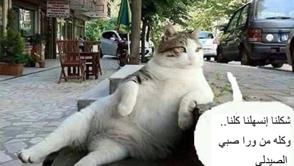 إسهال 