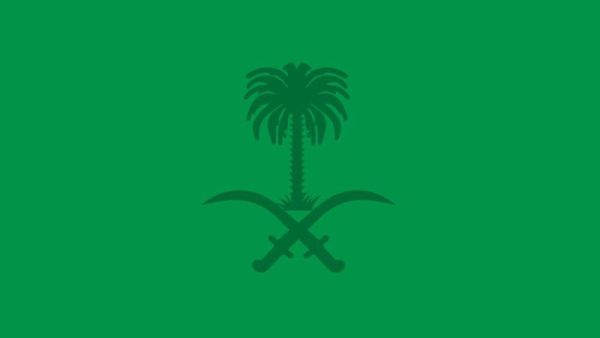 Green is the colour of the Saudi flag, chosen as it has historical significance in Islam. (Twitter)