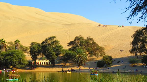 ما تفسير الحلم بالواحه في المنام؟
