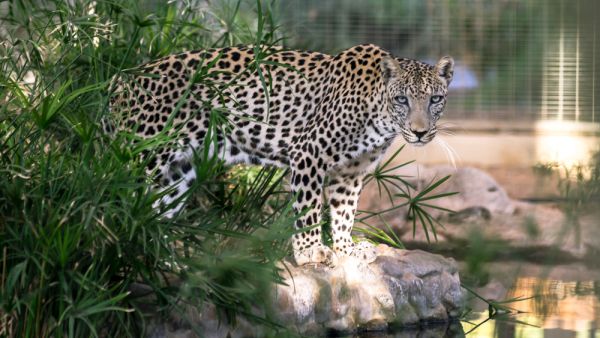 (Shutterstock/ File Photo)