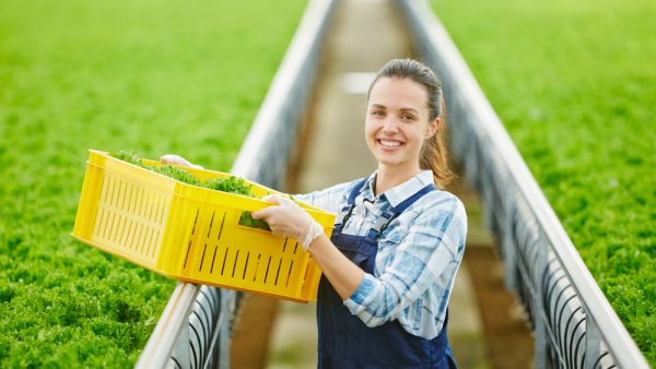 (Shutterstock/ File Photo)