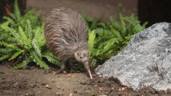 (Shutterstock/ File Photo)