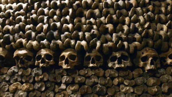 The skulls in the Catacombs of Paris. (AFP)