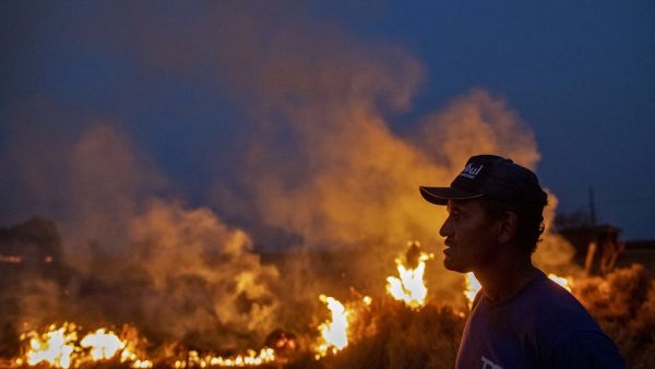 A labourer stares at a fire that spread to the farm he work on next to a highway in Nova Santa Helena municipality in northern Mato Grosso State, south in the Amazon basin in Brazil, on August 23, 2019. (AFP/ File Photo)