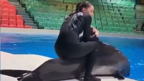 Dubai Dolphinarium has launched an investigation after one trainer filmed another sitting on the back of a dolphin out of water after campaigners described it as abuse. (Instagram)