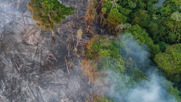 The Amazon forest is burning in Brazil (Twitter)