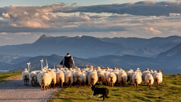 (Shutterstock/ File Photo)