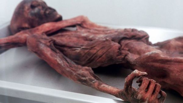 Ancient Mummies (Twitter)