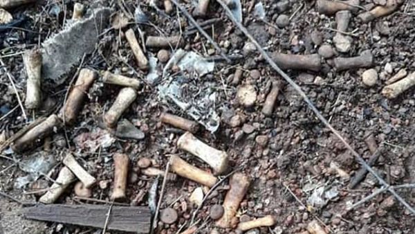 A missing persons search team found more than 2,000 human bone fragments last week in the northwestern Mexican city of Culiacán. (Facebook)