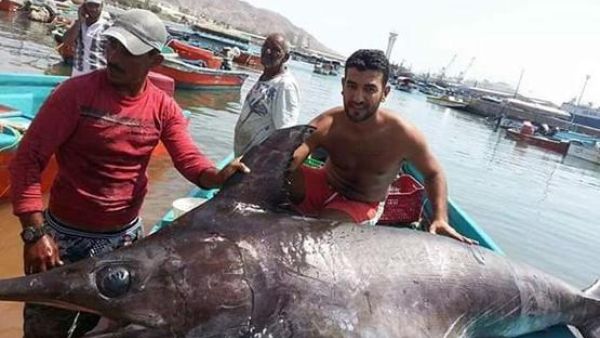 Fisherman Ibrahim Tarawneh with his catch on Friday in Aqaba. (Facebook photo)