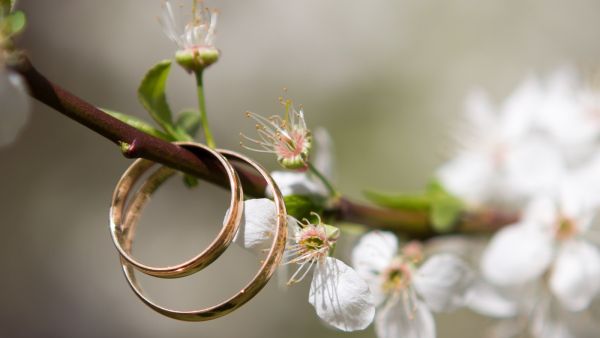 ما تفسير الحلم بالارتباط؟