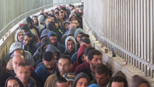 Palestinian labourers (Twitter)