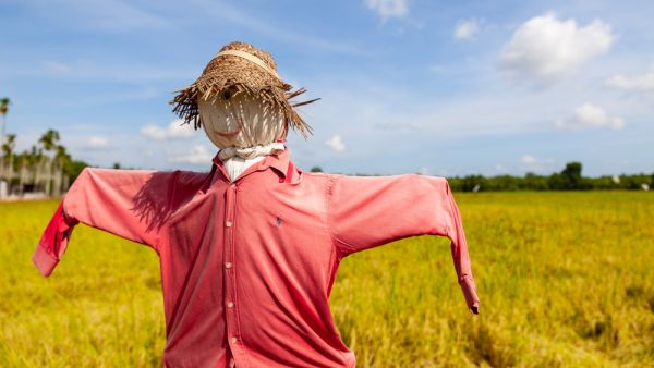 (Shutterstock/ File Photo)