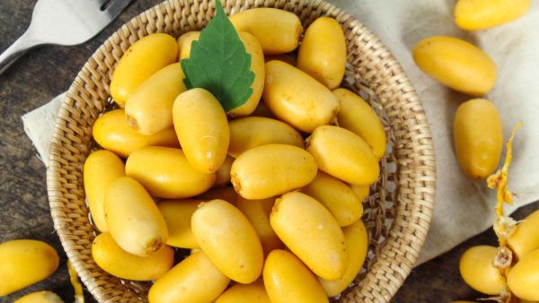 يحتوي البلح على الكالسيوم وهو المعدن الأهم للعظام حيث يقي من هشاشة العظام