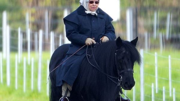 The Queen was spotted horse riding in the grounds of Windsor Castle this morning (Twitter)