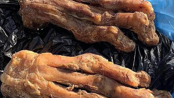 Two of the paws which were seized by Russia's FSB security agency at a border post between Russia and China  (dailymail)